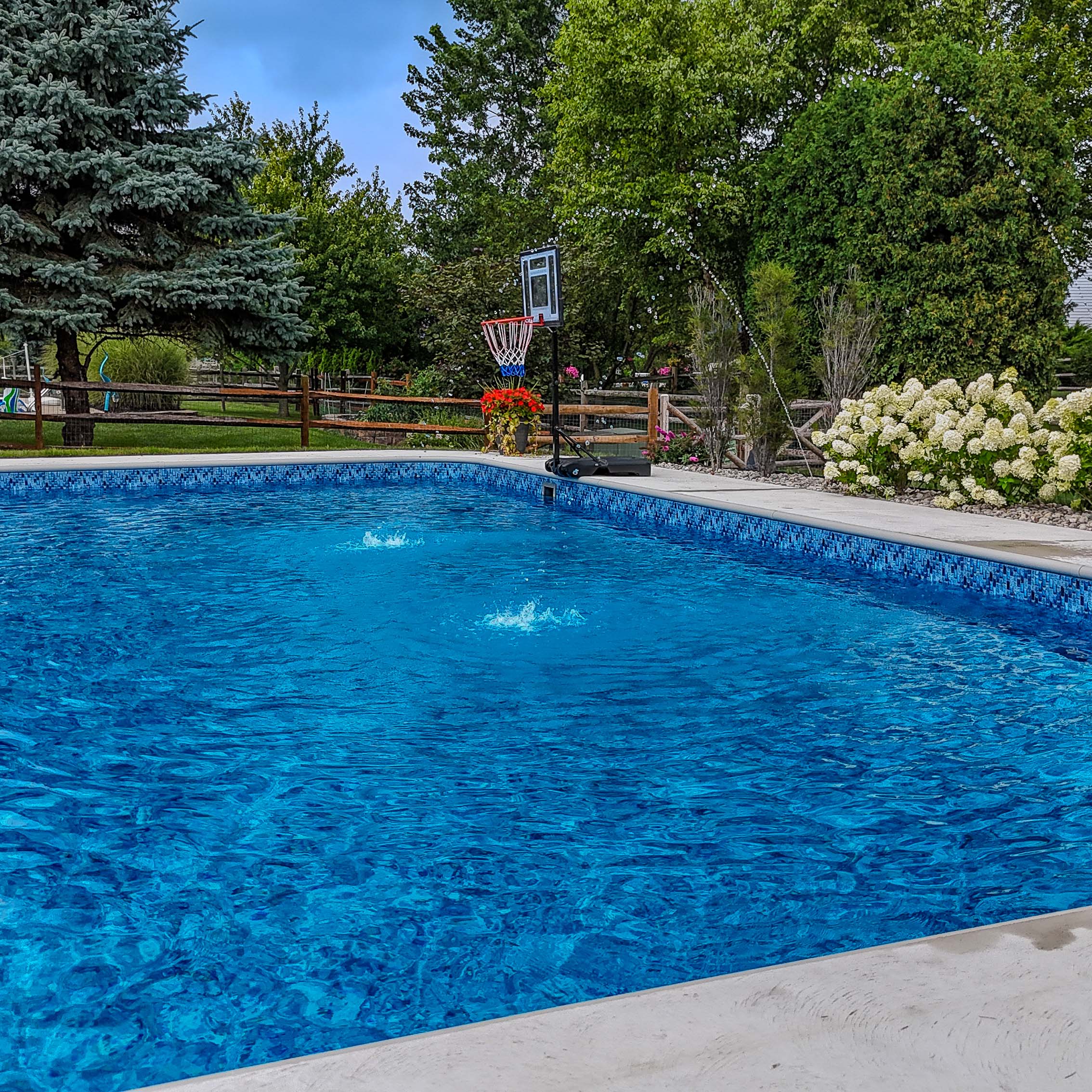 A clear blue swimming pool outdoors, surrounded by trees and flowers, features a basketball hoop and wooden fence nearby.