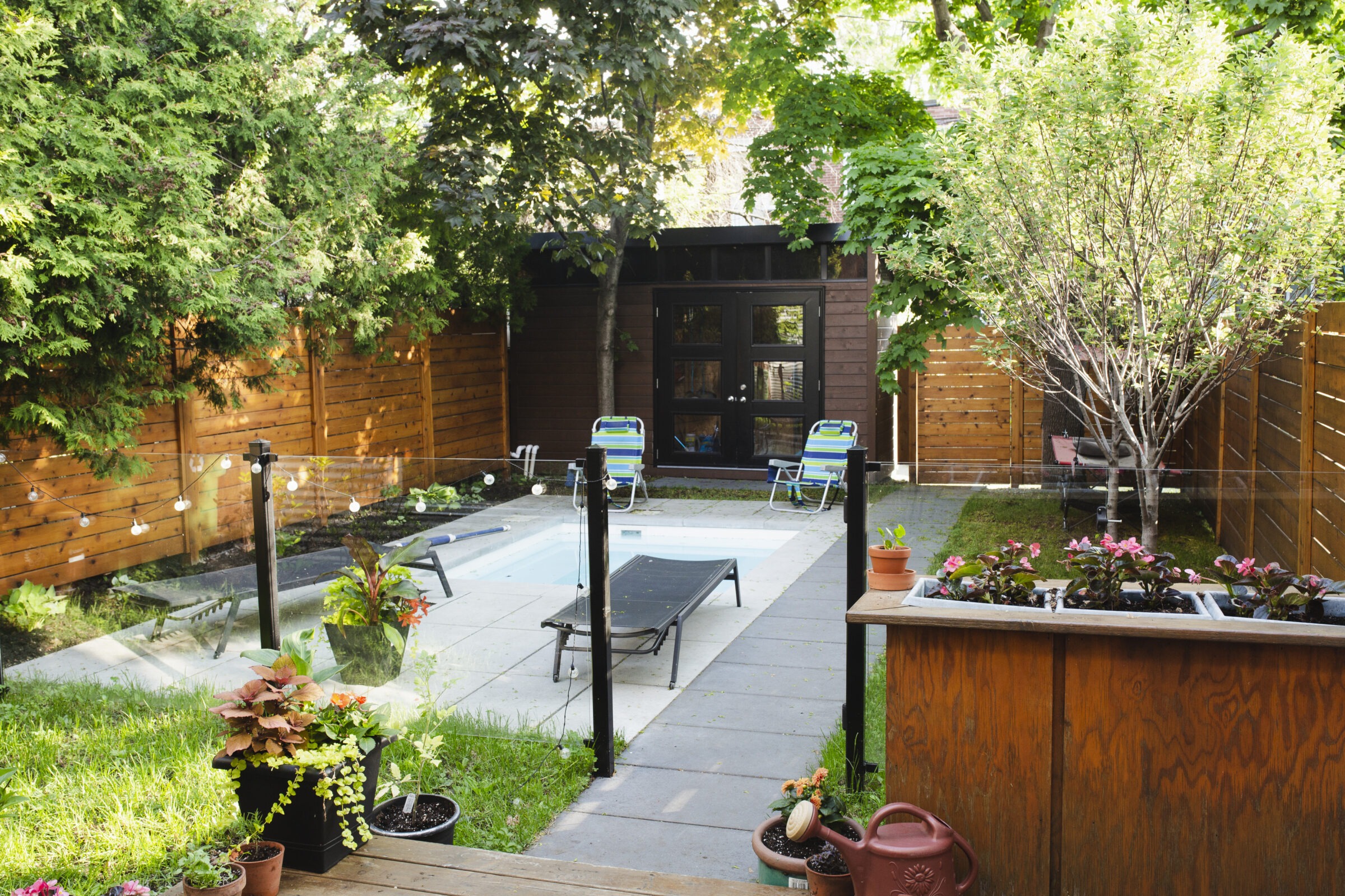 Small backyard garden with a plunge pool, potted flowers, lounge chairs, and a wooden shed, all enclosed by a wooden privacy fence and shaded by mature trees and greenery.